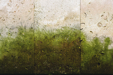 Textured background vertical facing tiles from shell stone with traces of moss formation in the form of green mold. Grunge background with elements of living plant life. Old wall with green mold.