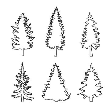set of conifer trees, pine nature design element, line icon Flat design Vector Illustration EPS