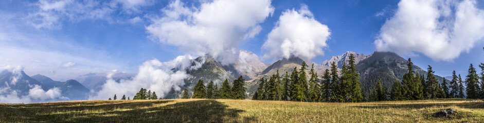 cloud on the wood near Mont Blanc