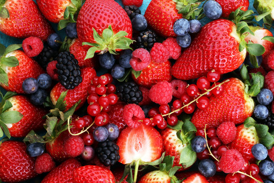 Berries overhead closeup colorful assorted mix of strawberry, blueberry, raspberry, blackberry and red currant