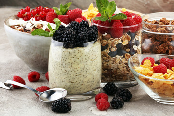 Cereal and ingredients for a healthy breakfast with chia pudding, granola, cornflakes and berries