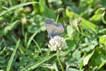 natura uomo e cemento strutture industria 
