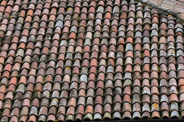 natura uomo e cemento strutture industria 