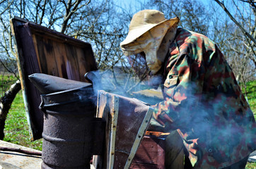 a group of beekeepers work in the apiary