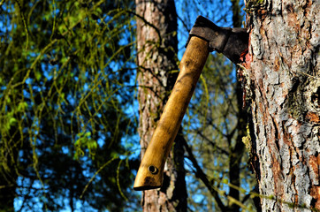 axe on a large piece of wood used as a cutting board