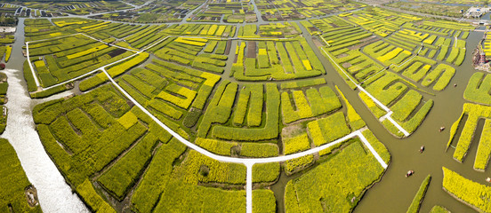 aerial photo of Thousand island rapeseed