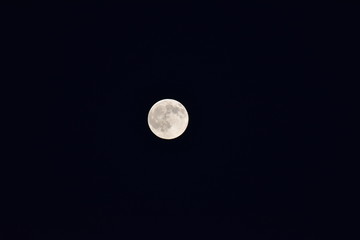 Natura , luna e notte 