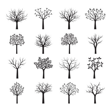 Set Black neked Trees without Leaves. Vector Illustration.