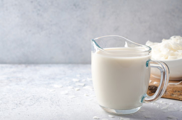 Coconut milk with coconut chips on light background