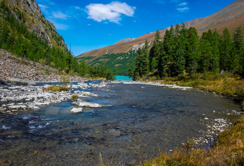 Naklejka na ściany i meble Mountain landscape. Mountain river in the Altai Republic.