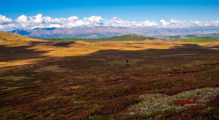 Mountain landscape. Mountain peaks in the republic of Altai.