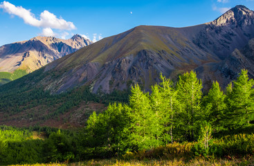 Mountain landscape. Mountain peaks in the republic of Altai.