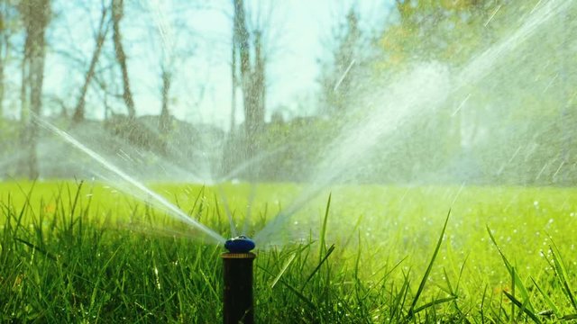 Close-up of a nozzle for spraying water by automatic watering system for lawn with lush green grass in sunny day. Slow motion. HD