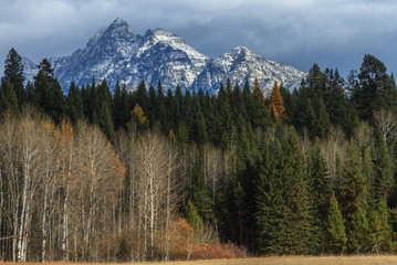 Autumn Mountain And Trees