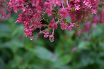 Luna paesaggi monti e landscape 