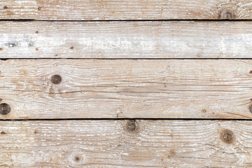 Rough wood background blank texture