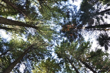 Natura paesaggi e monti 