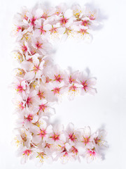 Letters made of pink spring flowers