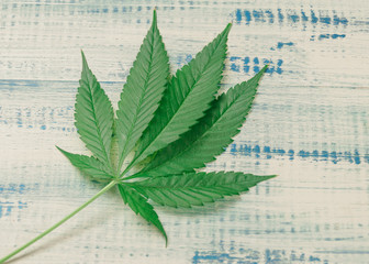 Leaves of marijuana on a wooden background.