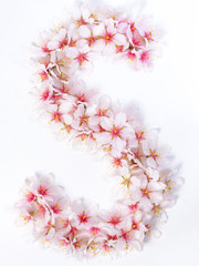 Letters made of pink spring flowers