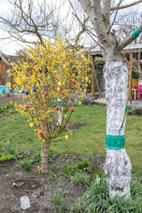 Fototapete bei efototapeten.de bestellen   