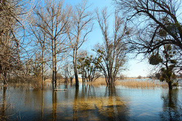 High water and seasonal flood in springtime after melting of snow
