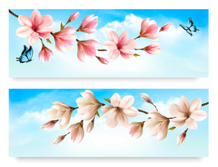 Two Nature banners with blossom branch of pink and white magnolia and butterfly. Vector