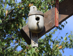 Birdhouses, houses for birds