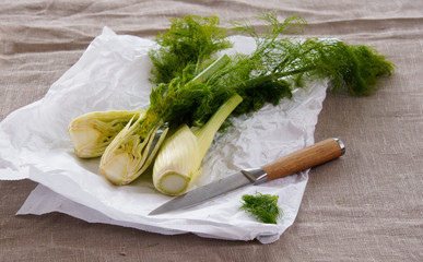 fennel ripe fresh 