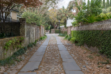 Ivy Covered Side Alley in Charleston
