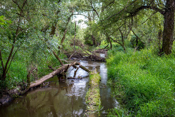 Small river Sukhodrev in the Kaluzhskiy region, Russia
