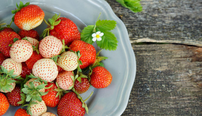 Pineberry and strawberry on the wooden old background