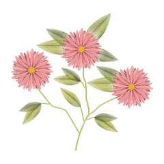 cute tulip flower with leafs decorative