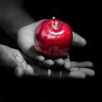 Hands holding a red apple in black background