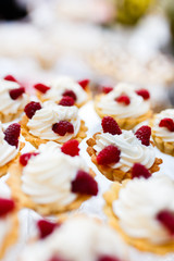 Delicious Raspberry Muffins