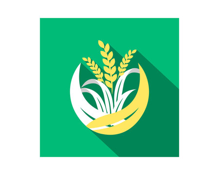 wheat paddy harvest agriculture farmer image vector logo symbol icon