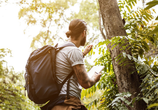 Biologist In A Forest