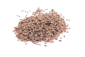 Thai herb name Plantago ovata Forssk. isolated on white background. Thai herb medicine concept.