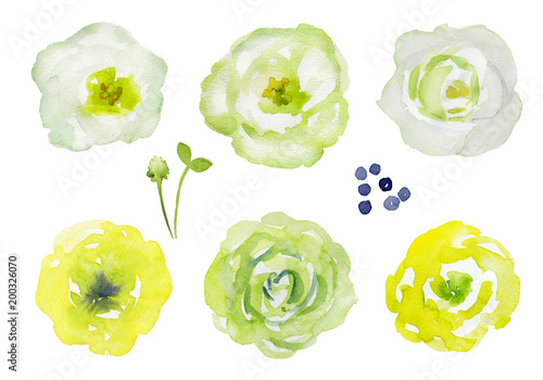 ベスト50 花 イラスト 水彩 すべての美しい花の画像