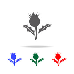 Obraz premium Thistle flower icon. Elements of United Kingdom multi colored icons. Premium quality graphic design icon. Simple icon for websites, web design, mobile app, info graphics