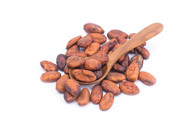 Cocoa beans before roast on wooden spoon isolated on white background.
