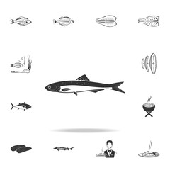 a fish icon. Detailed set of fish illustrations. Premium quality graphic design icon. One of the collection icons for websites, web design, mobile app