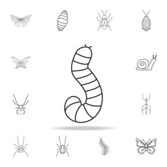 larva icon. Detailed set of insects line illustrations. Premium quality graphic design icon. One of the collection icons for websites, web design, mobile app
