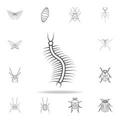 centipede icon. Detailed set of insects line illustrations. Premium quality graphic design icon. One of the collection icons for websites, web design, mobile app