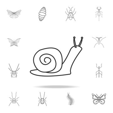 snail icon. Detailed set of insects line illustrations. Premium quality graphic design icon. One of the collection icons for websites, web design, mobile app