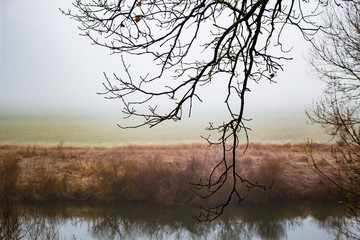 Morning mist on the river
