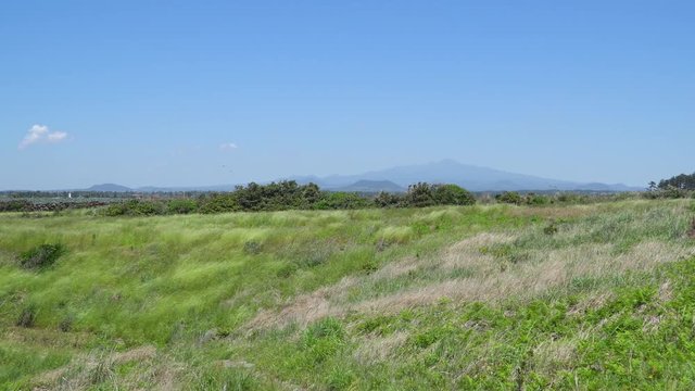 Landscape of Jeju Island coast with Halla mountain, viewed from Saengigijeong seaside trail at Olle trail course No.12 in Hangyeong-myeon, Jeju island, Korea.