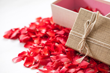 Rose petals and gift box on white background