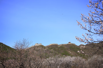 The Great Wall in China