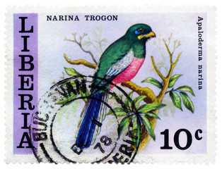 Narina Trogon on Liberia Postage Stamp